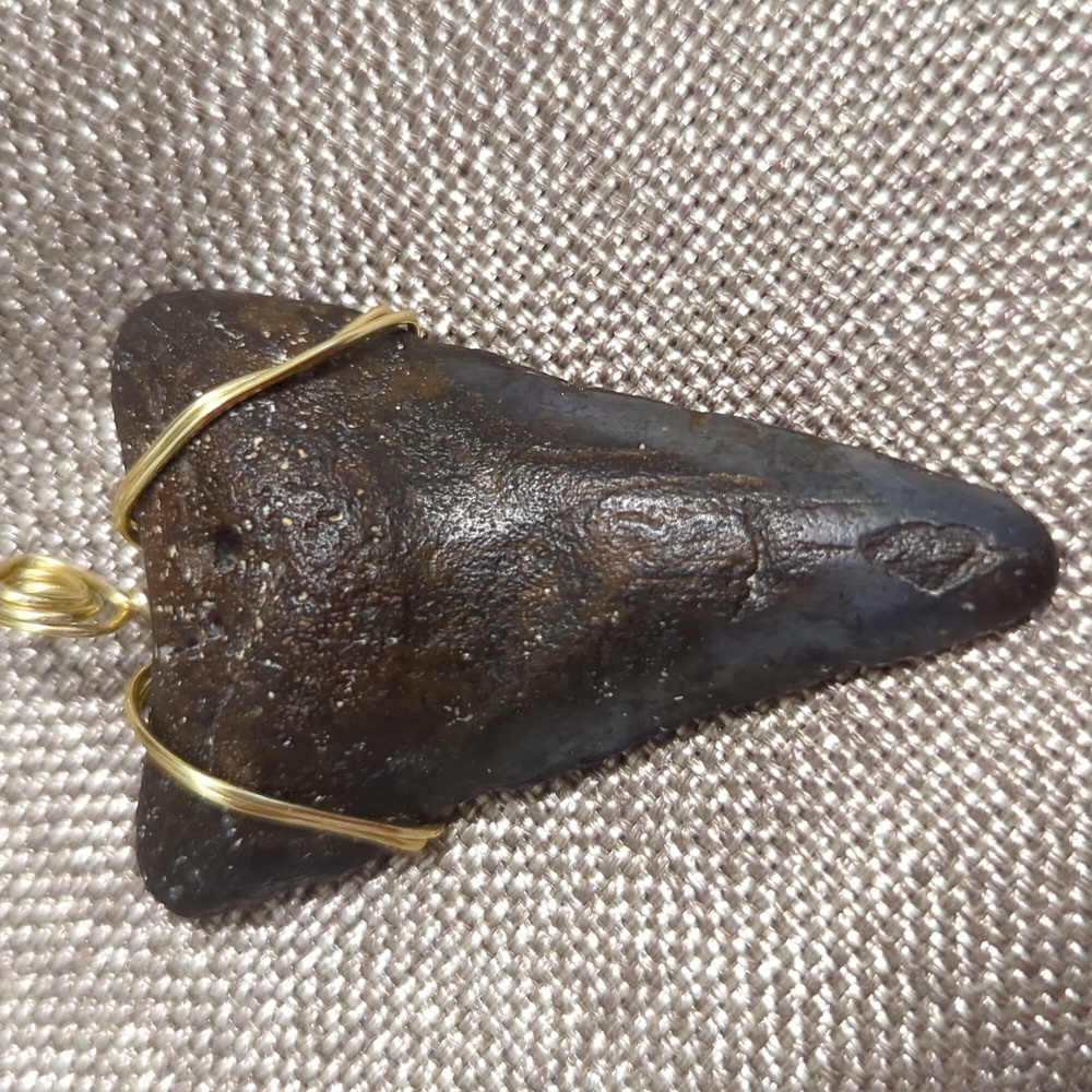 Megalodon Shark Tooth 2.85 Inches Comes With Frame And Removable Wire Wrap. - Picture 6 of 6